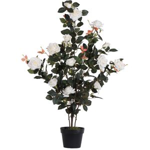 Vickerman 45