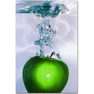 Trademark Global Roderick Stevens 'Apple Splash Ii' 22