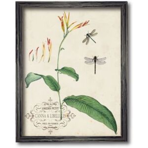 Courtside Market Canna Dragonflies I Framed Canvas Wall Art Collection