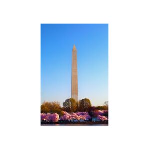 Trademark Global Mitch Catanzaro Washington Monument Under Light Canvas Art - 36.5