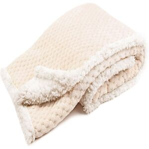 Tadpoles Popcorn Plush Sherpa Lined Baby Blanket - Beige