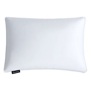 Beautyrest Luxury European Down Pillows