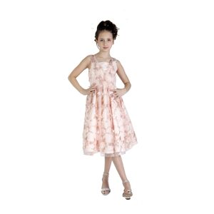Christian Siriano Big Girls A-line Dress with 3D Floral Embroidery - Blush
