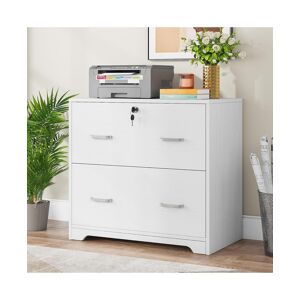 Tribesigns Tribe signs 2-Drawer Lateral File Cabinet, Large White Filing Cabinet with Lock, Office File Cabinets for Hanging Letter/Legal/F4/A4 Size Files - Whit