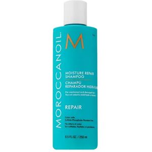 Moroccanoil Moisture Repair Shampoo, Size: 8.5 FL Oz, Multicolor