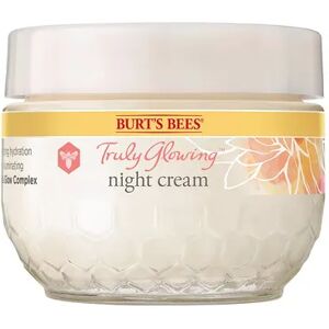 Burts Bees Truly Glowing Replenishing Night Cream, Multicolor