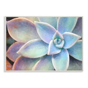 Stupell Home Decor 'Succulent Plant Vibrant Bloom Painting' Stretched Canvas Wall Art, Multicolor, 30X40