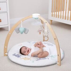 aden + anais Baby Activity Gym, Grey