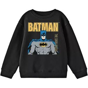 Licensed Character Boys 8-20 Batman The Dark Knight Comic Long Sleeve Graphic Sweatshirt, Boy's, Size: Medium, Black