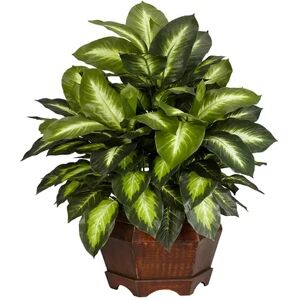 nearly natural Silk Golden Dieffenbachia Plant, Green