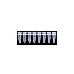 Axygen PCR Tube Strips and Cap Strips Axygen Scientific PCR-0208-A Strips Of Eight Tubes Case