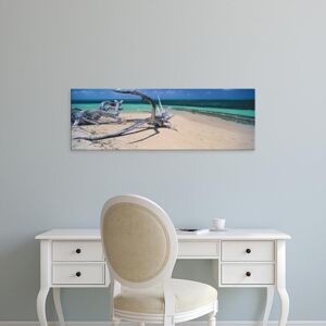 Easy Art Prints Panoramic Image 'Driftwood, Beach, Green Island, Great Barrier Reef, Queensland, Australia' Canvas Art 8 x 24