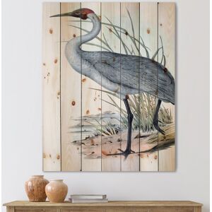 DESIGN ART Designart 'Vintage Australian Birds V' Traditional Print on Natural Pine Wood 30 in. wide x 40 in. high