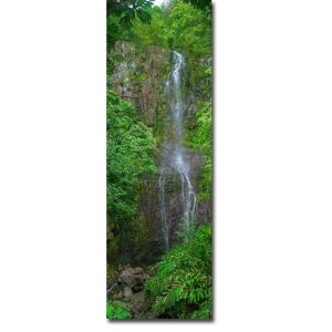 Artistic Home Gallery Maui Waterfall by Scott Bennion Gallery Wrapped Canvas Giclee Art (36 in x 12 in) 36 x 12