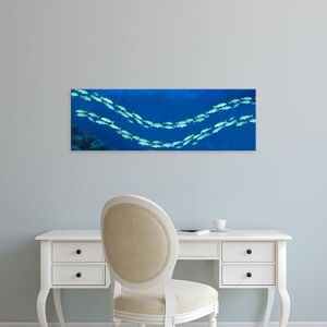 Easy Art Prints Panoramic Images's 'School of fish Great Barrier Reef Australia' Premium Canvas Art 10 x 30