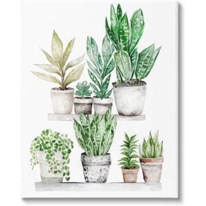 Stupell Mixed Greenery Potted Ivy Plants Canvas Wall Art by Ziwei Li 36 x 48