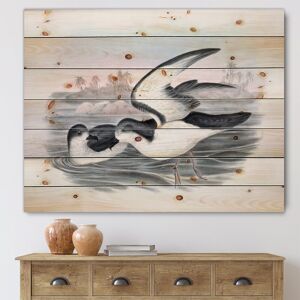 DESIGN ART Designart 'Vintage Australian Birds X' Traditional Print on Natural Pine Wood 35 in. wide x 25 in. high