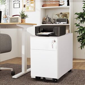 ofwood Fully Assembled 2-Drawer File Cabinet with Lock, Legal/Letter/A4/F4 Size N/A