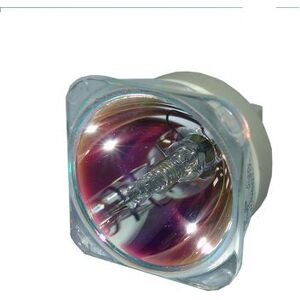 Philips Original E20.9 350W/280W 1.0 AC Bare Projector Lamp for the BenQ 5J.J8C05.001, 5J.J8C05.002, and 5J.J8K05.001 Housings