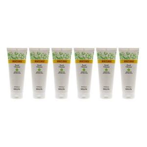 Plus Size Women's Sensitive Facial Cleanser - Pack Of 6 -6 Oz Cleanser by Burts Bees in O