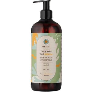 HairTry Take Off the Sebum Cleansing Shampoo for Scalps Prone to Oiliness and Frizzy 500mL