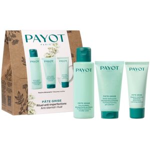 Payot Pâte Grise Purifying Foaming Gel Cleanser Delicately-Scented