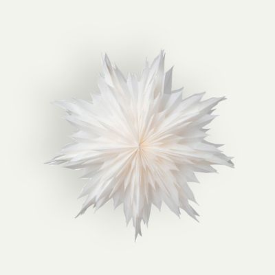 Watt & Veke Oslo adventsstjerne 60 cm, White