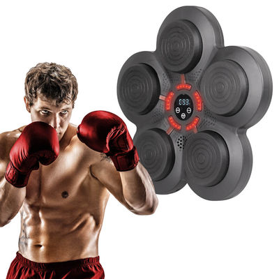 Electronic Punching Target, Smartpunch