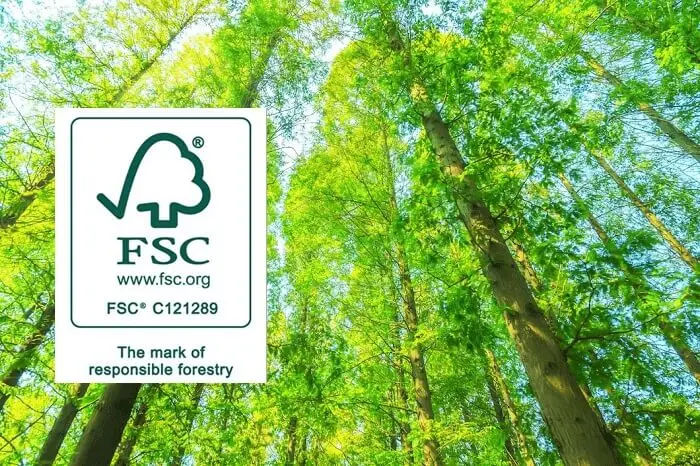 Chứng nhận FSC là gì? Tại sao cần thiết khi lựa chọn sàn gỗ tự nhiên?