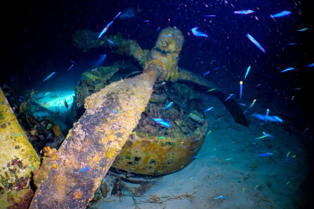 propeller_X1gmBrm_U.jpg