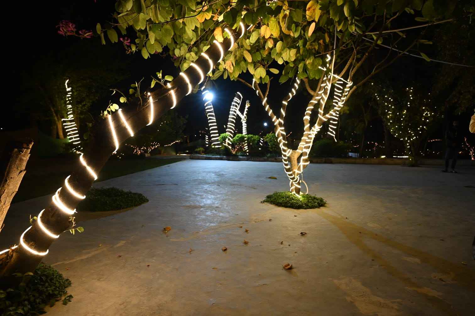 Bar Area at Barbados Party Lawn