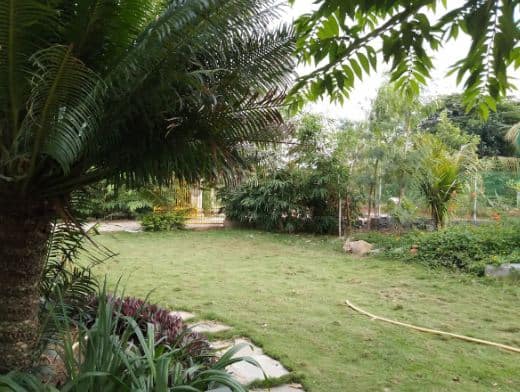 Bar Area at Farmhouse 7001 HYD