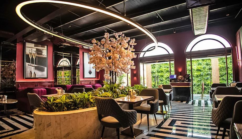 Swirl Cookhouse and Patio in Sector 104, Noida Check Price, Photos