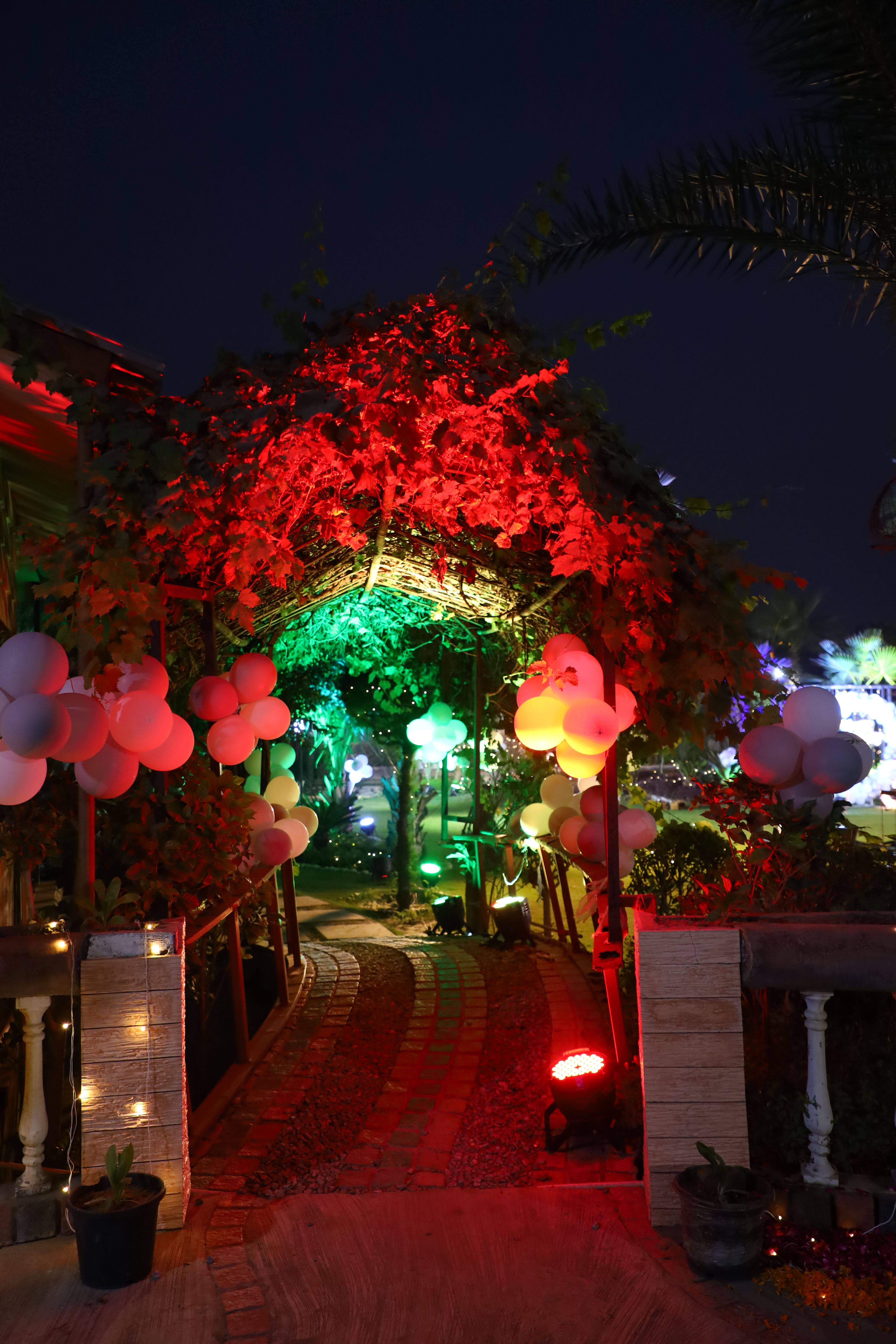 exclusive party packages of Farmhouse 266