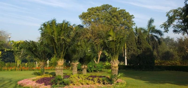 Interior of Rose Garden Chattarpur