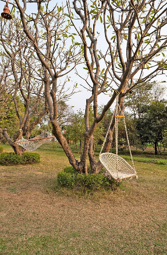 Terrace Area at Farmhouse 612