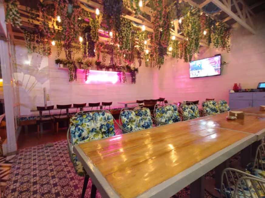 The Salt Cafe Kitchen Bar in Preet Vihar Delhi Check Price