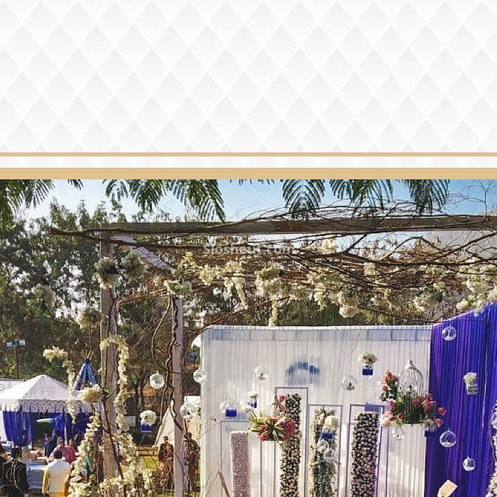 Decorators for Birthday party