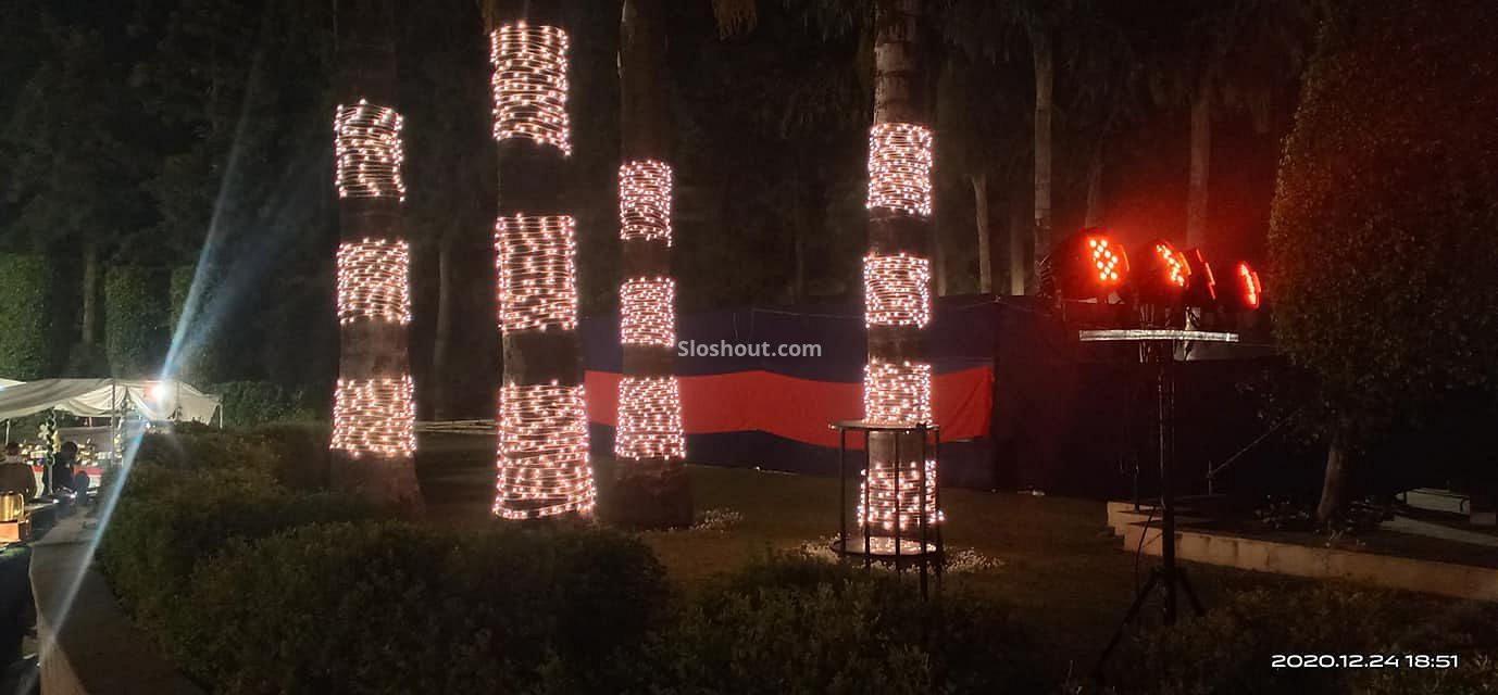 Decorators for party