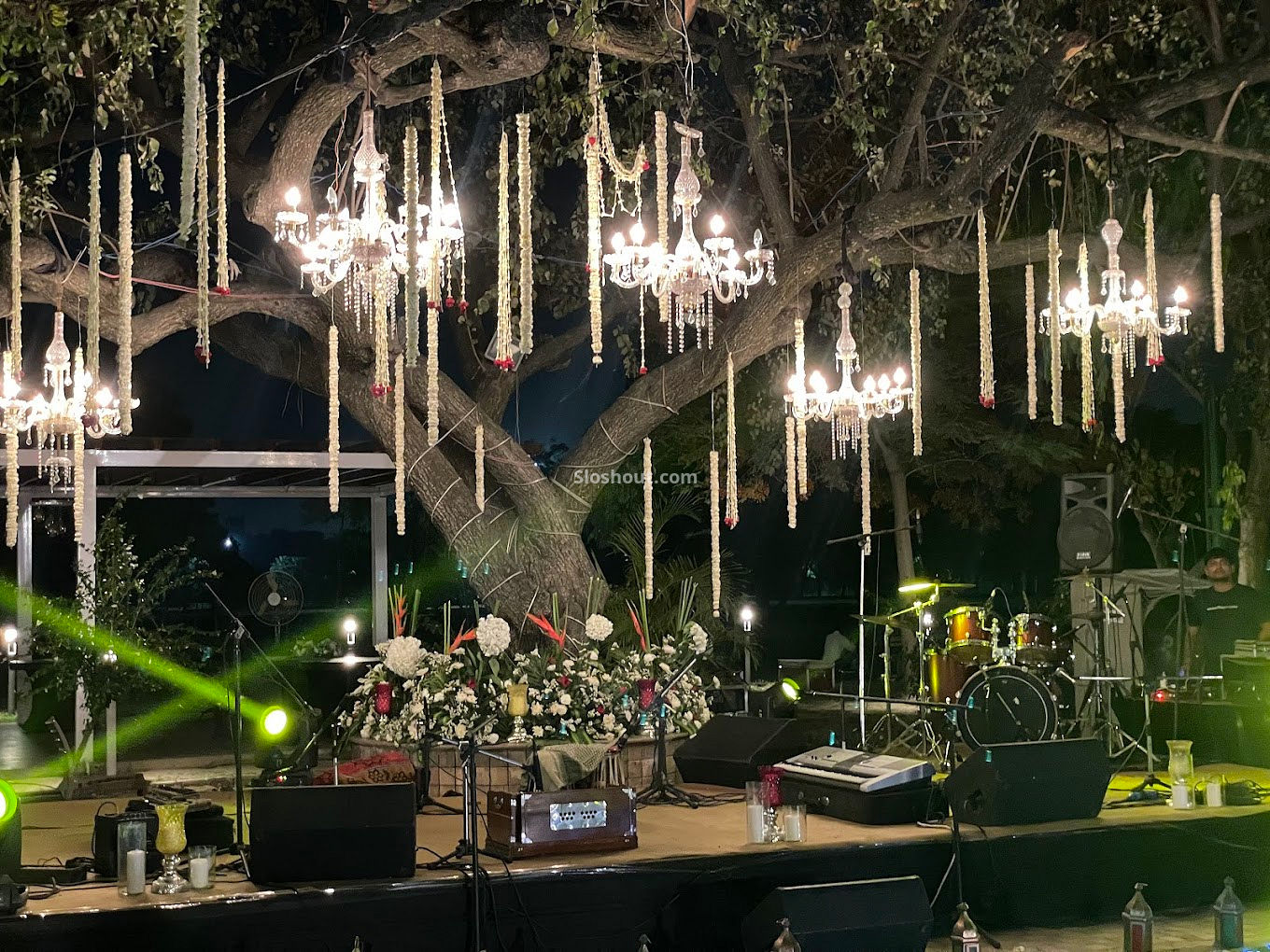 Ambience of Chopra Decors