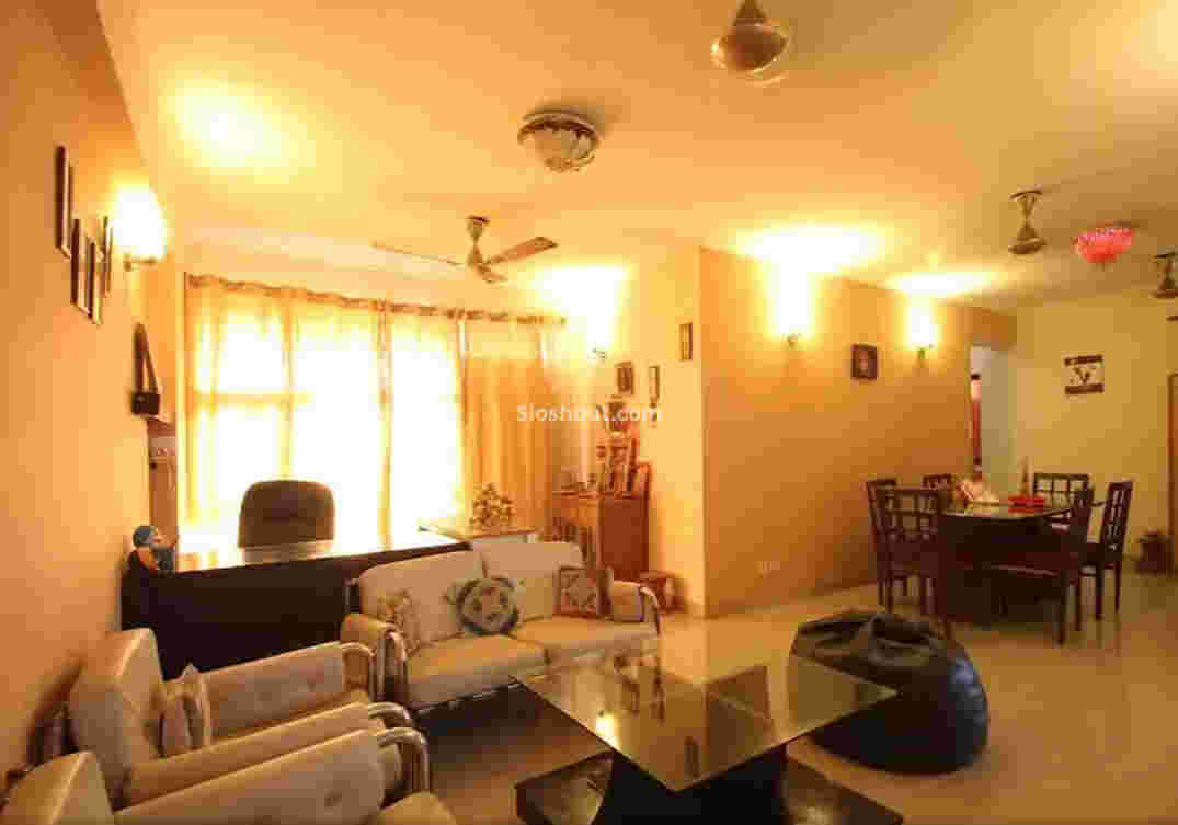 Ambience of Villa 10
