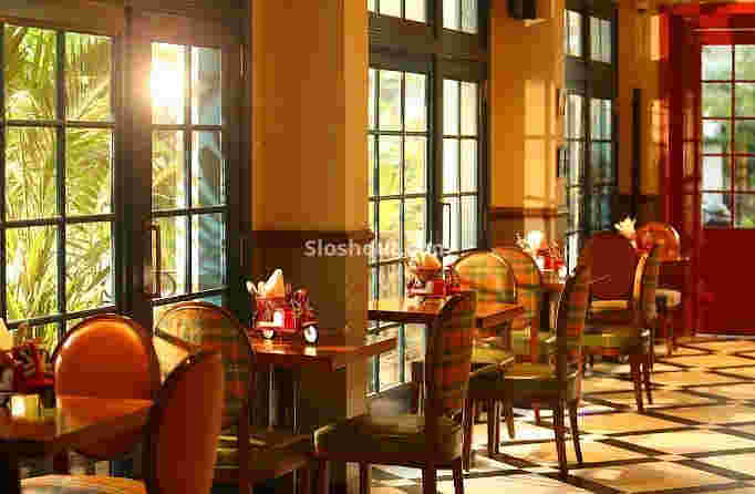 Interior of tlch british lounge Race Course Road