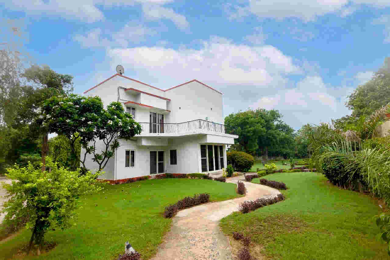 Theme Party at Rose Farm