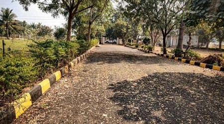 Ambience of Farmhouse 7083 HYD 