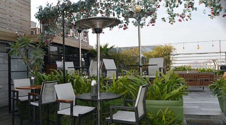 Ambience of Molecule Air Bar