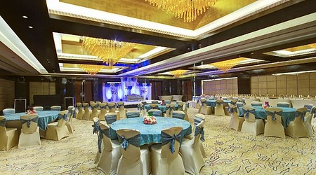 Ambience of Radisson Blu