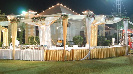 Ambience of Rose Garden