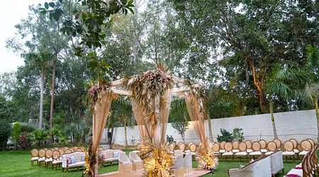 Ambience of The Grand Aurra