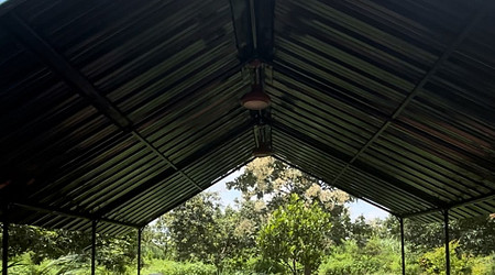 Ambience of The Neem Tree Farm
