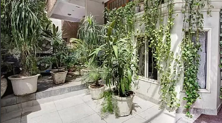 Ambience of villa 16